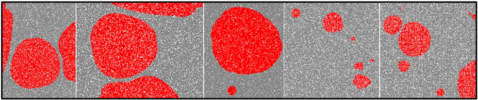 Ground truth annotations